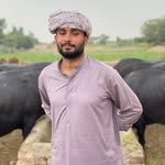 Usman Ghumman - @usman_ghumman42 - Instagram