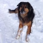 Uta Hoppe - @hoppeuta - Instagram
