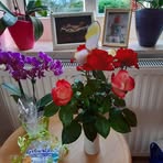 Uta Schneider - Facebook