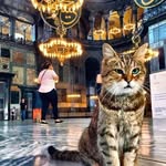Uta Schneider - @utaschneider31 - Instagram
