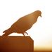 Utsav patel - Facebook