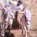 Uttam Chavan - @uttam_chavan18 - Instagram