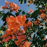 𝖀𝖙𝖙𝖆𝖗𝖆 ❃ - @uttara__roy - Instagram