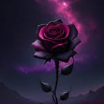 Uttara Roy - @ltz_soni4330 - Instagram