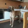 Uwe Heckmann - @uwe.heckmann - TikTok