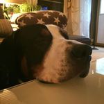 Uwe Jacobsen - @uwe.jacobsen.790 - Instagram