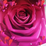 Uwe Koch - @uwekoch1963 - Instagram