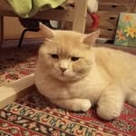 Uwe Meier - @uwemeier1955 - Instagram