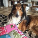 Uwe Meyer - @uwem_eyer0019 - Instagram
