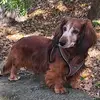 Uwe Pottgueter - @uwe.pottgueter - TikTok