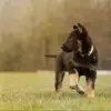Uwe Pottharst - @uwe.pottharst - TikTok