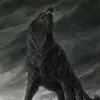 Uwe Schulz - @uwe.schulz42 - TikTok