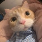 @uyenchu.en - Instagram
