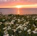 Uyen Lee - Facebook