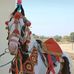 Uzair Qureshi - Facebook