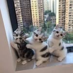 Uzma Anwar - @uzma.anwar.777 - Instagram