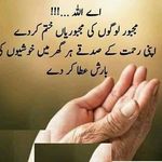 Uzma Bashir - @uzma.bashir.372 - Instagram