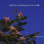 uzma bashir - @uzmabashir6477 - Instagram