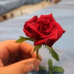 uzma_hamid - @uzma065 - Instagram