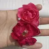 Uzma Hamid - @uzmahamid13 - TikTok