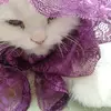 izma Hudebia - @uzmahudaiba - TikTok