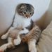 Ausma Balule - Facebook