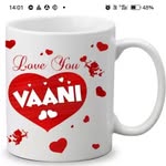 Vaani Himanshu Bhatia - @vaanihimanshubhatia - Instagram