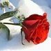 Vagner Rocha - Facebook