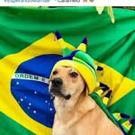 Vagner Rocha - @patriotasguarulhosbrasil - Instagram