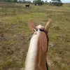 vagner_silva - @wagner.silva9822 - TikTok