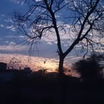vaidehi modi - @vaidu_queen_15 - Instagram