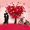 Vaidehi_Modi - @jessica.bolinn - TikTok