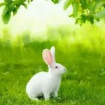 Vaishali Dave - @vaishali.dave.399 - Instagram