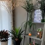 Val Abbott - @val.abbott.7 - Instagram