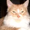valabbott156 - @valabbott156 - TikTok