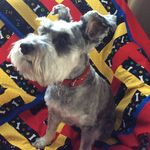 Val Balderson Mikado-Beasley - @valquilts - Instagram