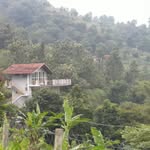 beechvalleyfarmstay - @beechvalleys - Instagram