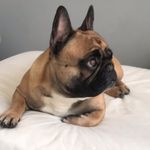 Vale Callaghan Van Boranka - @valecallaghan - Instagram