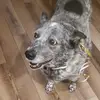 val_capone_ - @val_capone_ - TikTok
