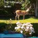 Val Christensen - Facebook