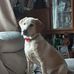 Val Clarke - Facebook