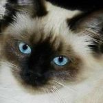 Val Craig - @valcraig - Instagram