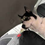 C͓̽u͓̽r͓̽r͓̽y͓̽ - @curry.valid - Instagram