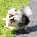 Val Davidson - @aj._davidson._59 - Instagram