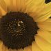 Val Davidson - Facebook