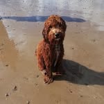 Val Davies - @valdavies60 - Instagram