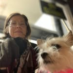 Val Day - @day_ofthedog - Instagram