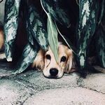 Val Dempsey - @gvbc_spellman_ - Instagram