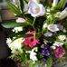 Valerie Dempsey - Facebook