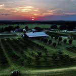 DentonValleyFarms - @dentonvalleyfarms - Instagram